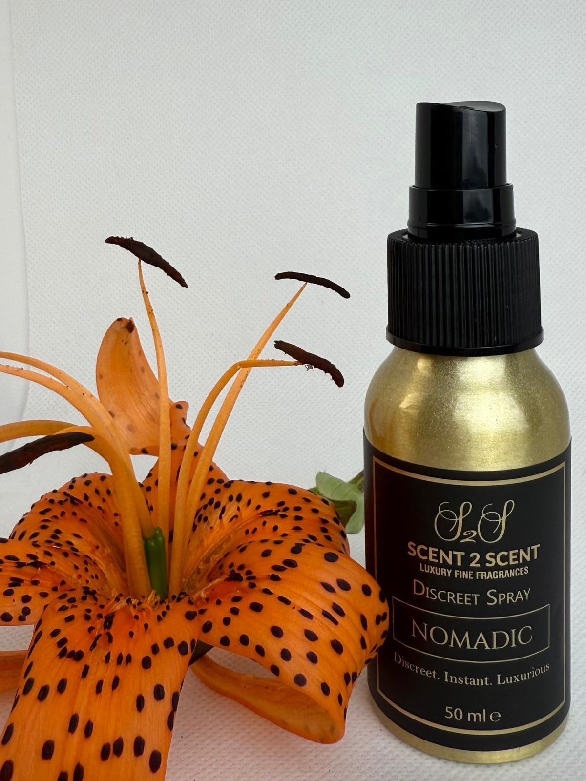 Nomadic Discreet (Inspired by Louis Vuitton Ombre Nomad)