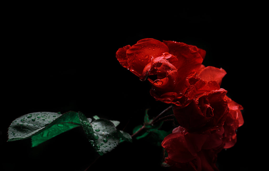 Red 45 (Inspiration:Baccarat Rouge 540)